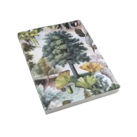 Bomo Art Mysterious Life of Trees Notebook