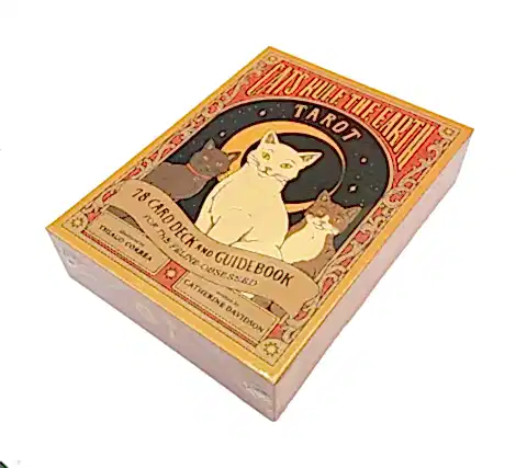 Tarot Card Box with Cat Designs