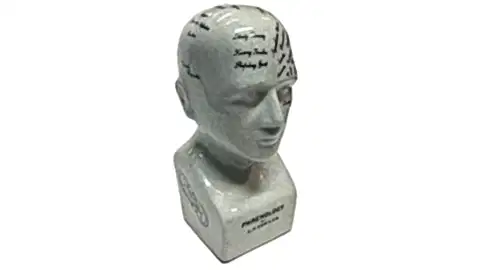 Small Phrenology Head