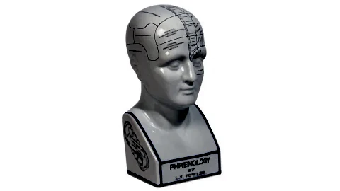 Phrenology Head