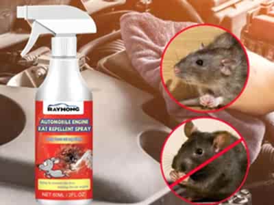 Rat/Pest