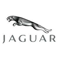 Jaguar Jaguar